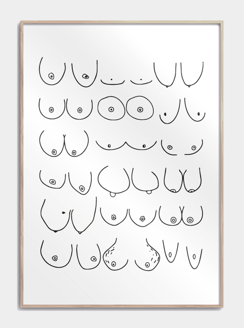 Boobies-juliste nro 1, M (50x70, B2)