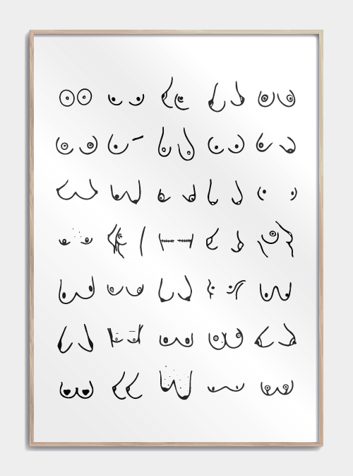 Boobies-juliste, nro 3 S (30x42, A3)