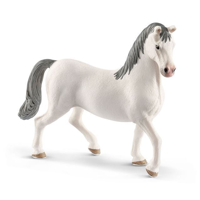 Lipizzan ori